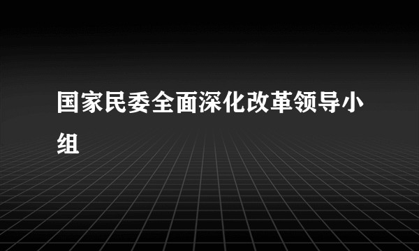 国家民委全面深化改革领导小组