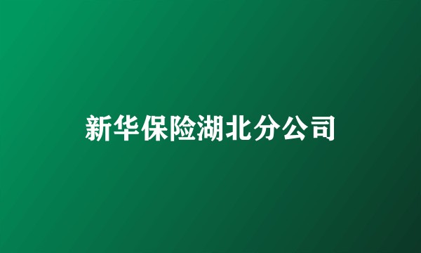 新华保险湖北分公司