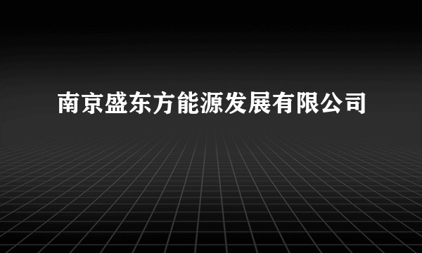南京盛东方能源发展有限公司