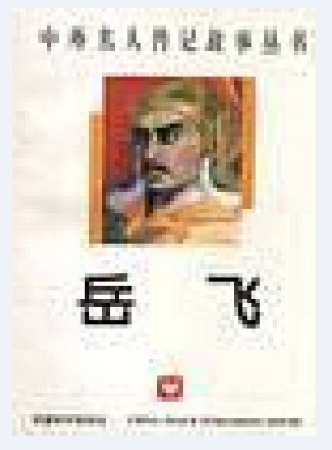 岳飞(1996年中国和平出版社出版的图书)
