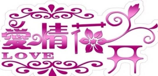 爱情花开(2014年中国福利出版社出版的图书)