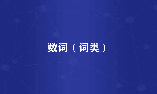 数词（词类）