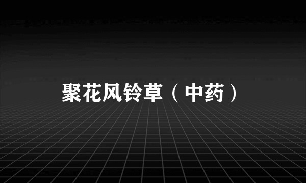 聚花风铃草（中药）