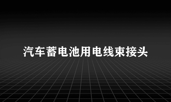 汽车蓄电池用电线束接头