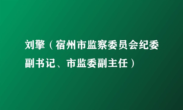 刘擎（宿州市监察委员会纪委副书记、市监委副主任）