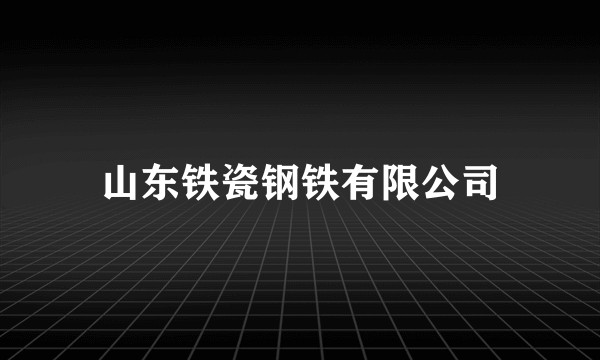 山东铁瓷钢铁有限公司