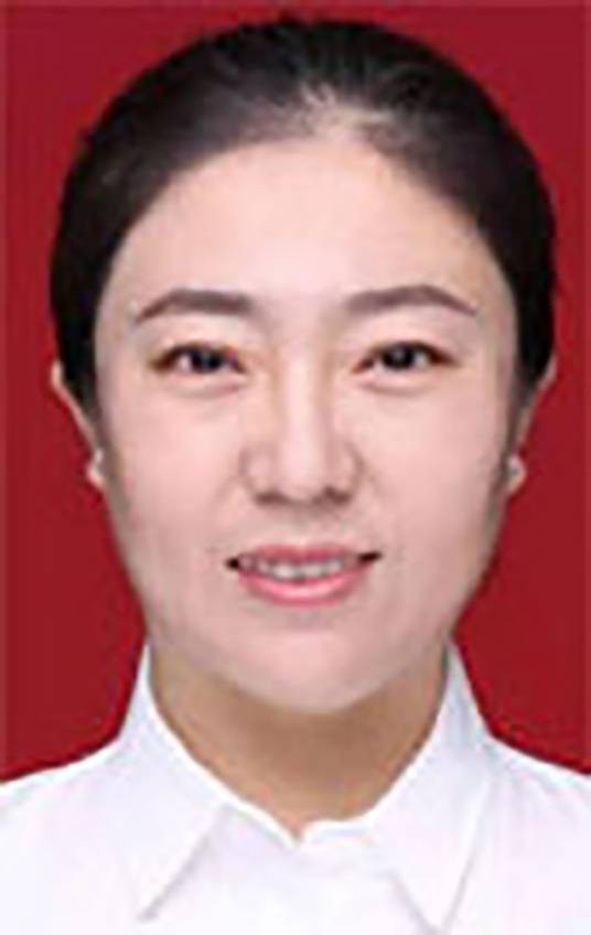 王芳(山西省吕梁市石楼县委副书记、县委办公室主任)