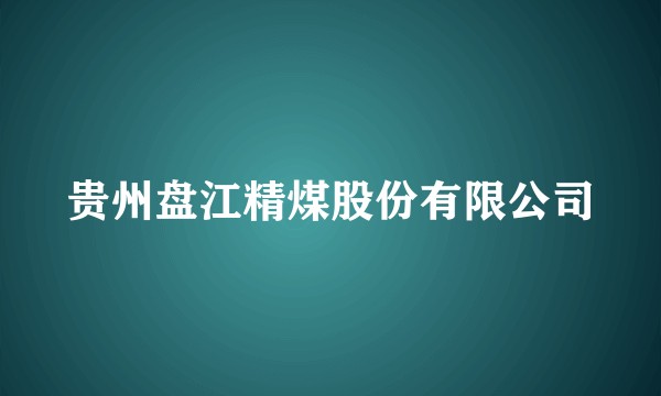 贵州盘江精煤股份有限公司