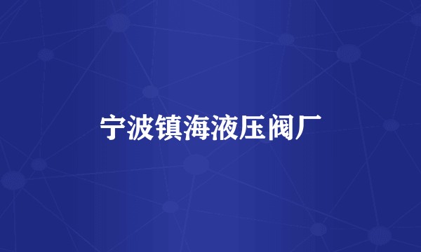 宁波镇海液压阀厂