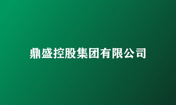 鼎盛控股集团有限公司