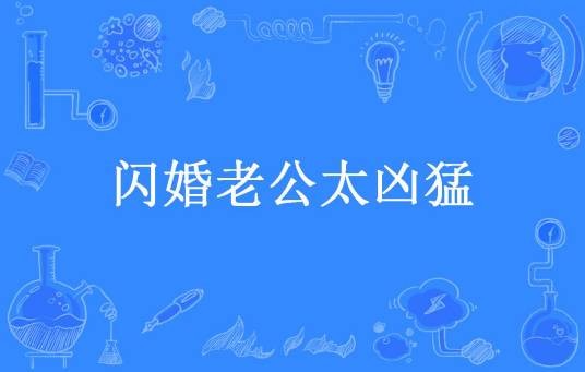 闪婚老公太凶猛（红蓉所著小说）