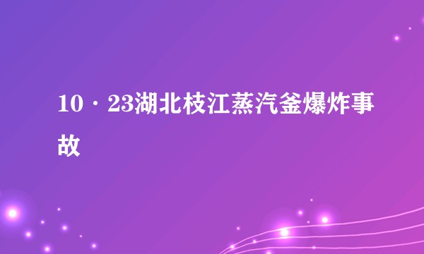 10·23湖北枝江蒸汽釜爆炸事故