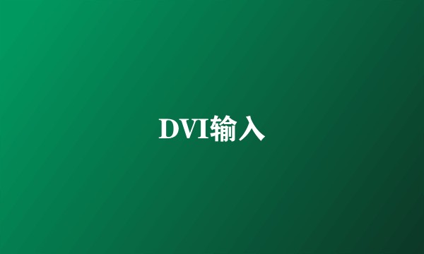 DVI输入