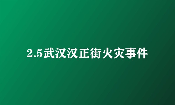 2.5武汉汉正街火灾事件