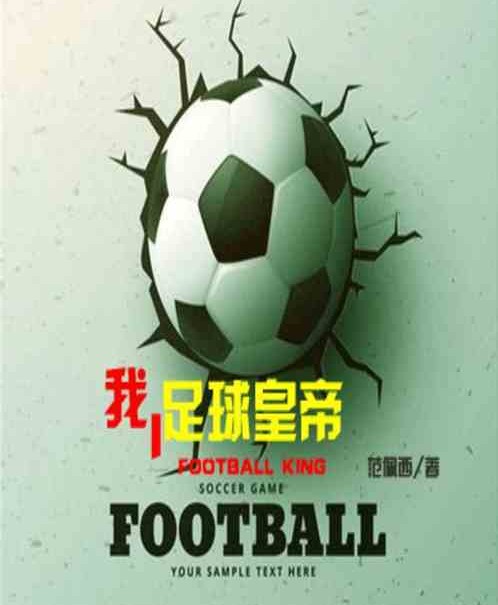 我！足球皇帝