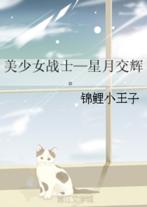 美少女战士—星月交辉。
