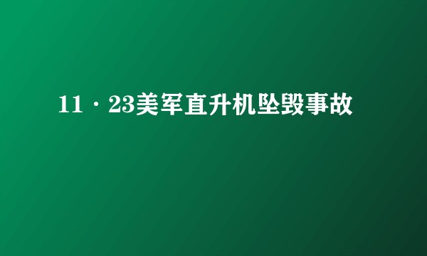 11·23美军直升机坠毁事故