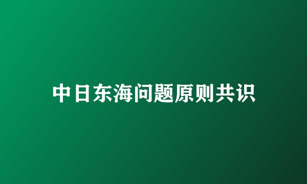 中日东海问题原则共识