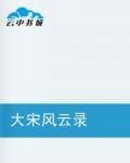 大宋风云录