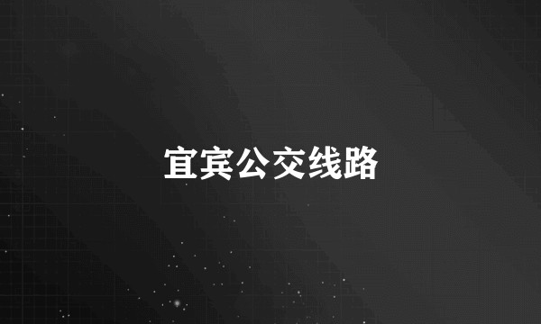宜宾公交线路