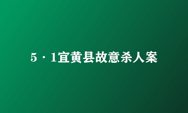 5·1宜黄县故意杀人案