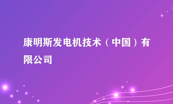 康明斯发电机技术（中国）有限公司