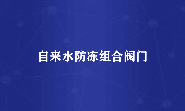 自来水防冻组合阀门
