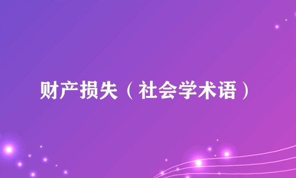 财产损失（社会学术语）