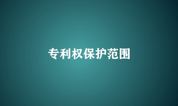 专利权保护范围