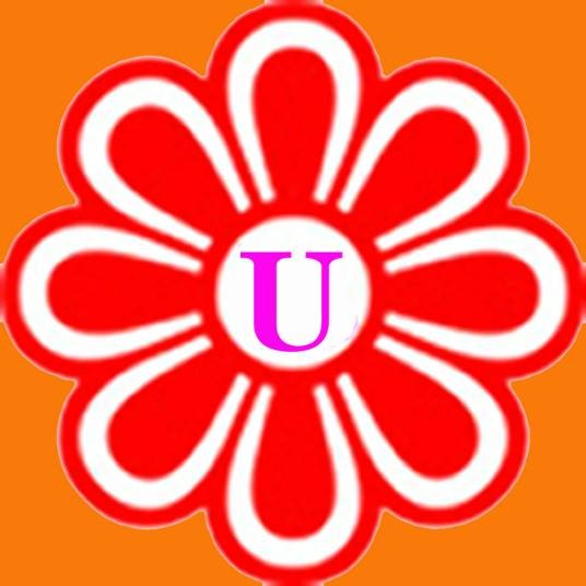 u（英文缩写）