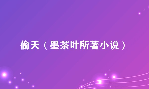 偷天（墨茶叶所著小说）