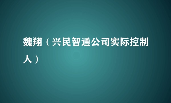 魏翔（兴民智通公司实际控制人）