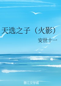 天选之子（火影）