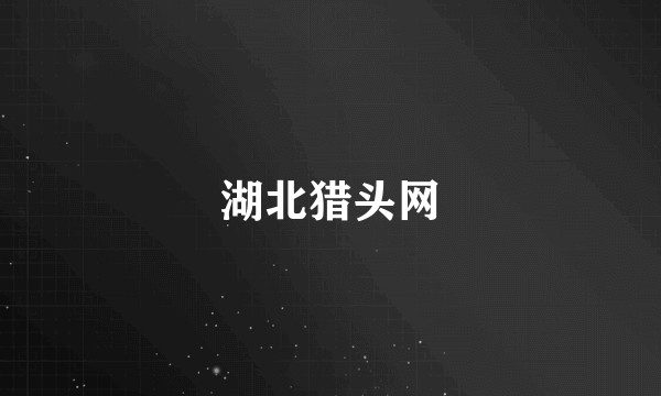 湖北猎头网