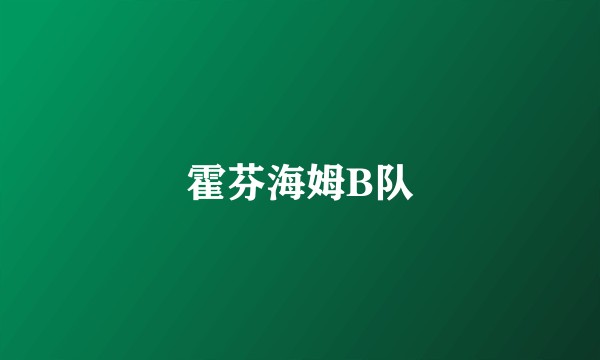 霍芬海姆B队