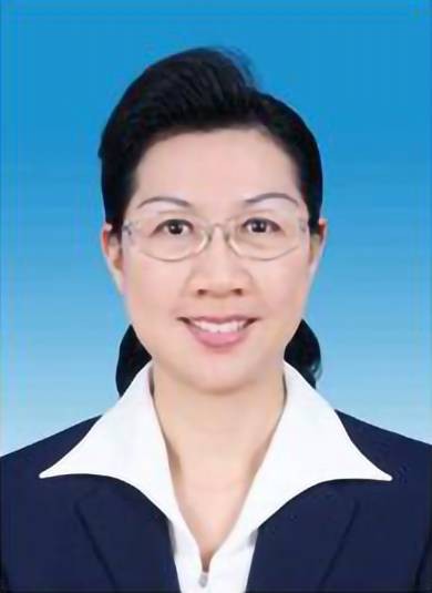 林洁（第十四届全国政协委员、文化文史和学习委员会委员，广东省深圳市政协党组书记、主席）