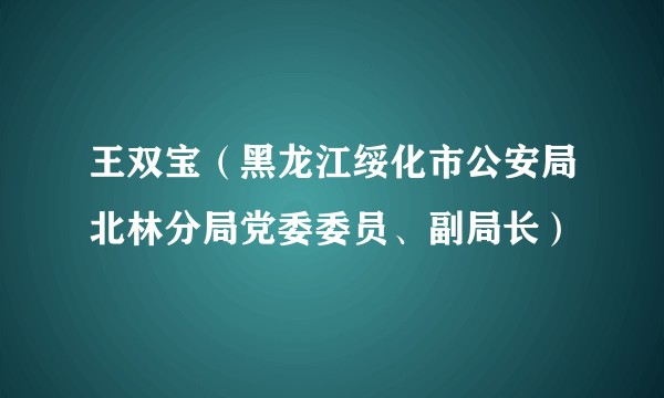 王双宝(黑龙江绥化市公安局北林分局党委委员、副局长)