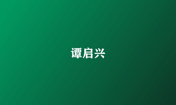 谭启兴