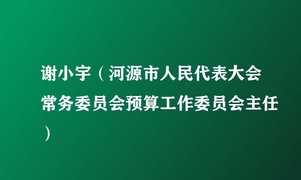 谢小宇（河源市人民代表大会常务委员会预算工作委员会主任）