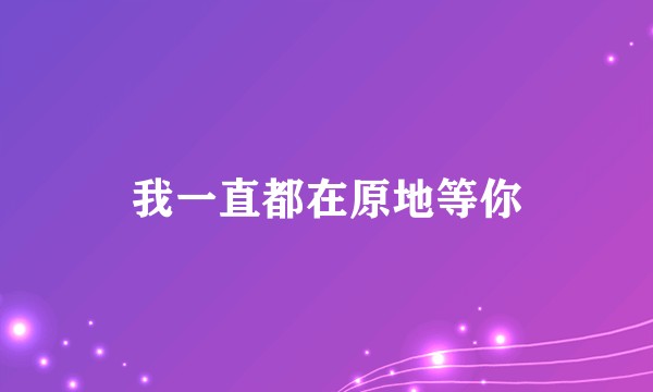 我一直都在原地等你