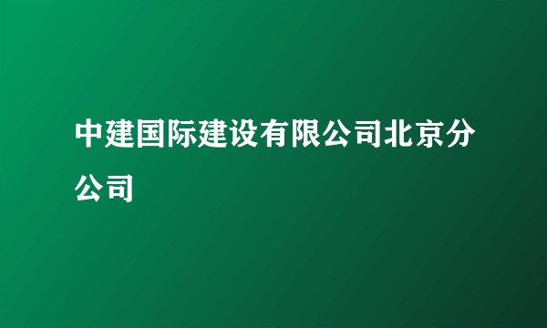 中建国际建设有限公司北京分公司