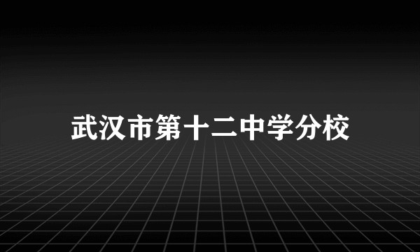 武汉市第十二中学分校