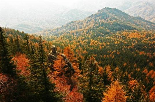 山西芦芽山国家级自然保护区