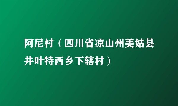 阿尼村(四川省凉山州美姑县井叶特西乡下辖村)