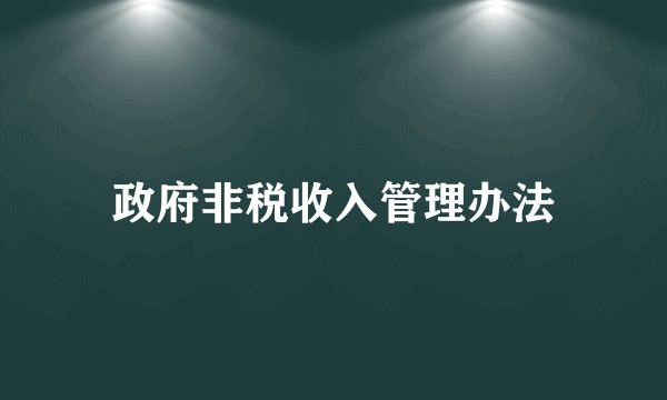 政府非税收入管理办法