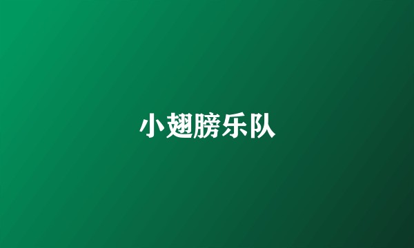 小翅膀乐队