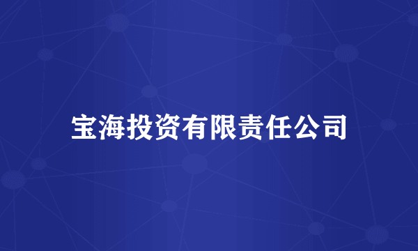 宝海投资有限责任公司