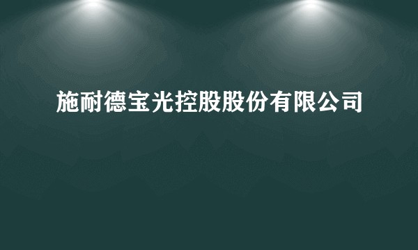 施耐德宝光控股股份有限公司