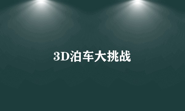 3D泊车大挑战