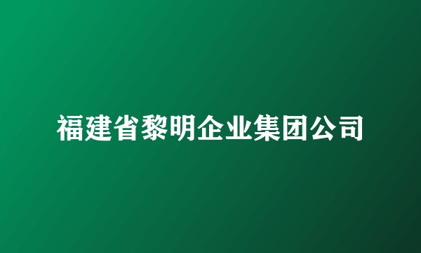 福建省黎明企业集团公司